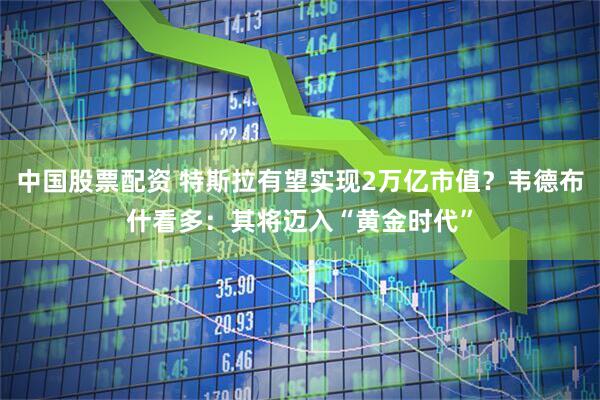 中国股票配资 特斯拉有望实现2万亿市值？韦德布什看多：其将迈入“黄金时代”