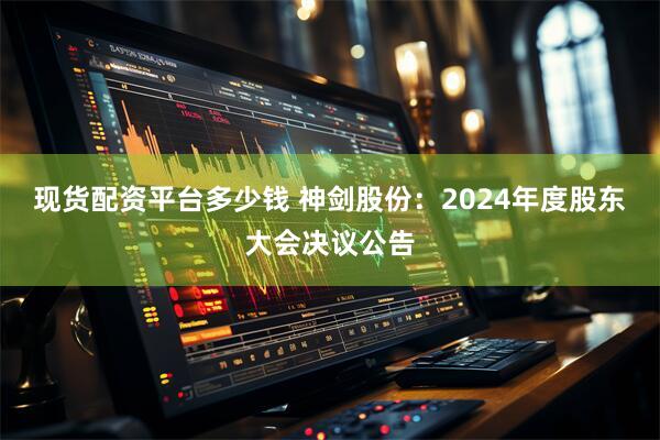 现货配资平台多少钱 神剑股份：2024年度股东大会决议公告