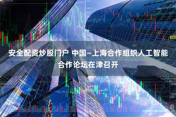 安全配资炒股门户 中国—上海合作组织人工智能合作论坛在津召开